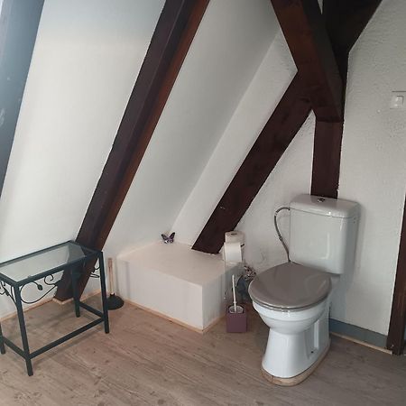 Gite Les Papillons Ribeauvillé Екстериор снимка