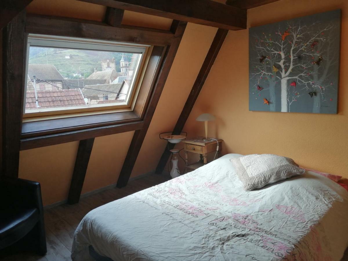 Gite Les Papillons Ribeauvillé Екстериор снимка