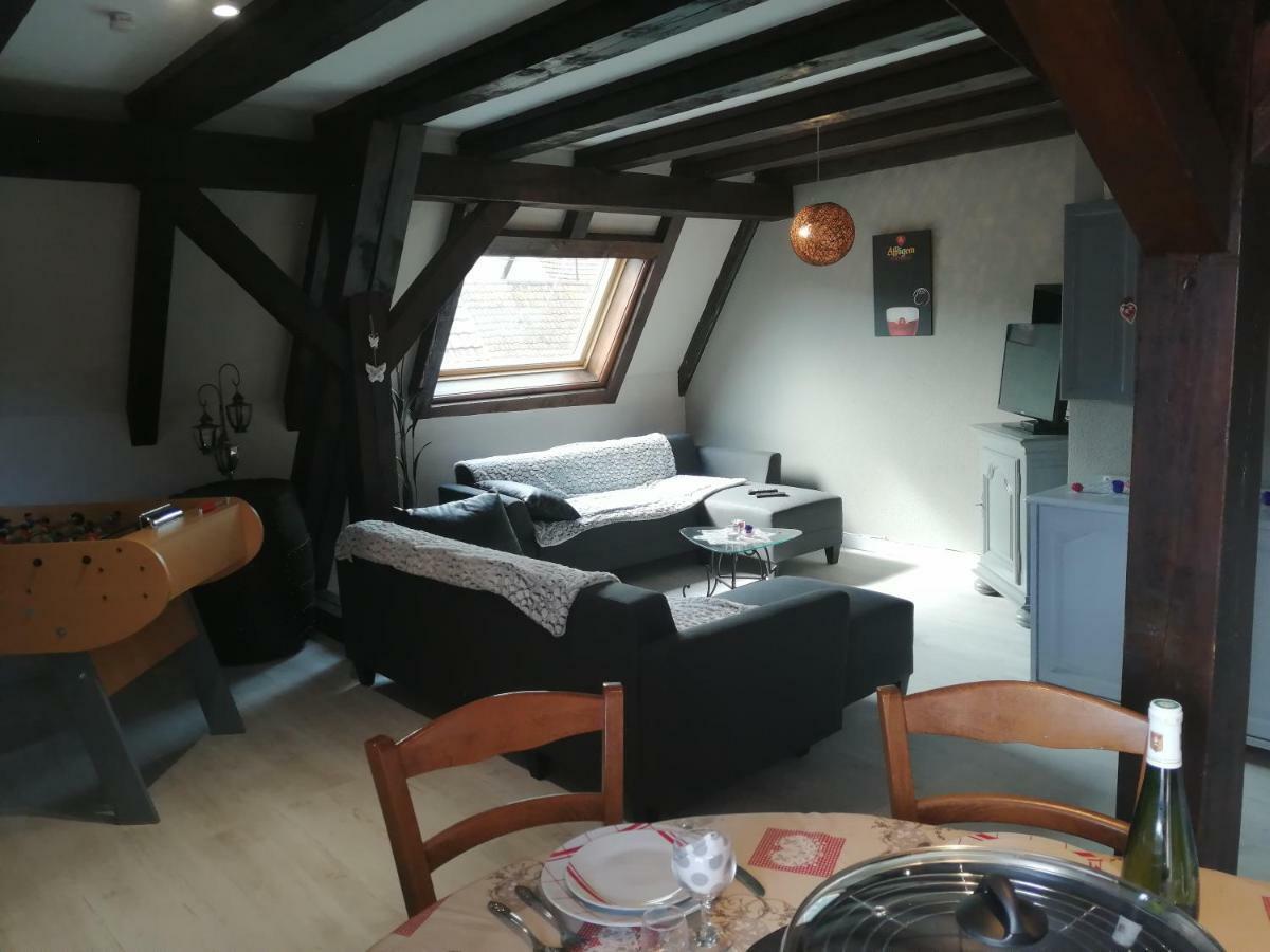 Gite Les Papillons Ribeauvillé Екстериор снимка